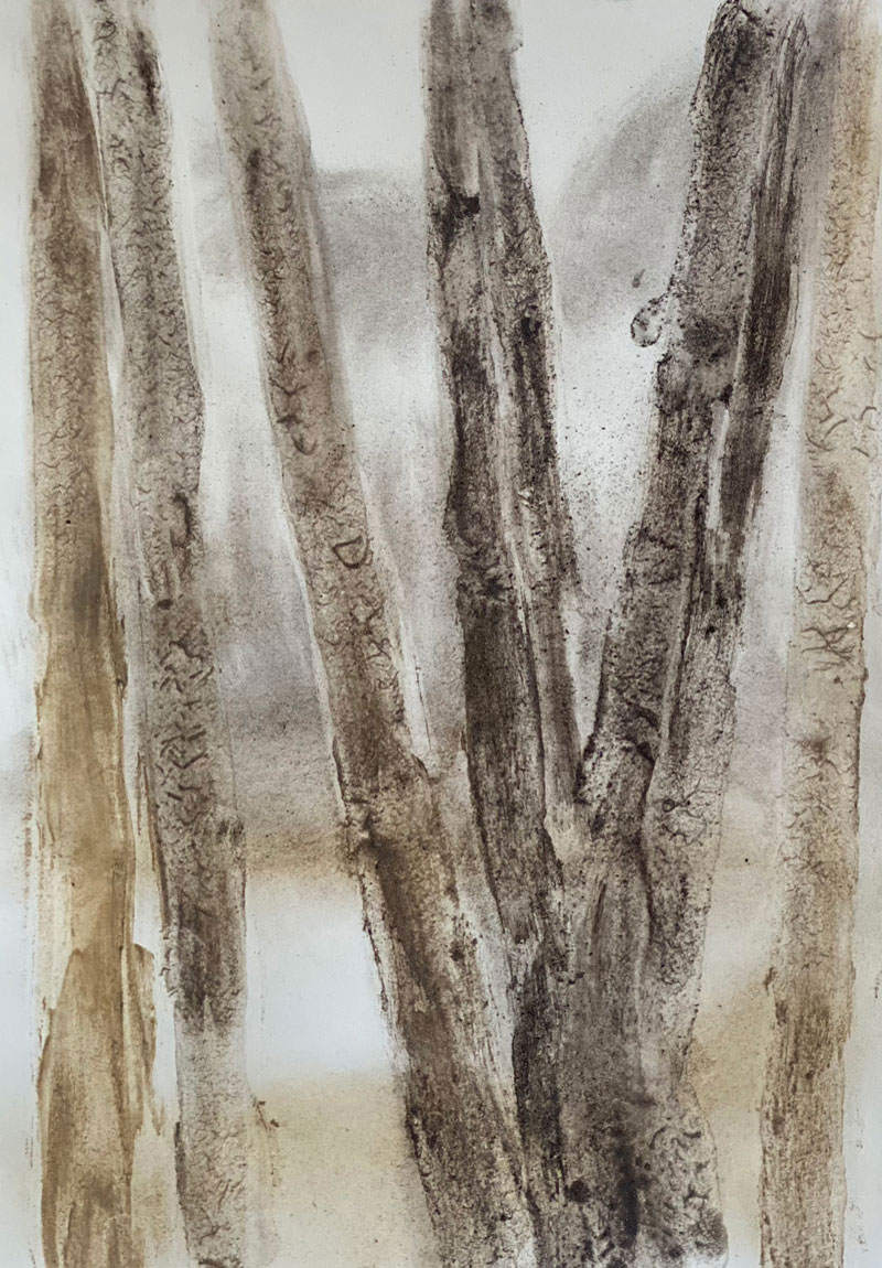 erde 03